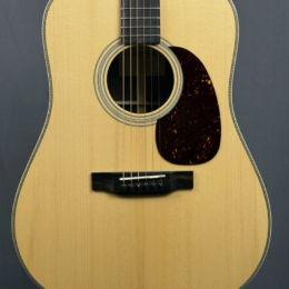 Eastman E20D Acoustic Guitar